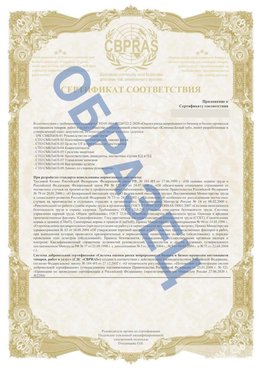 Образец Приложение к СТО 01.064.00220722.2-2020 Луга Сертификат СТО 01.064.00220722.2-2020 